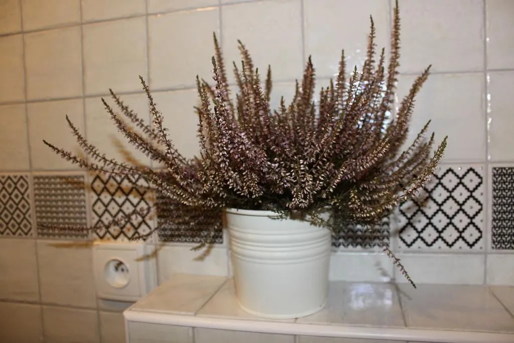 Apartman u Hradcan