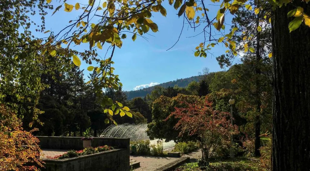 Silesia Krynica