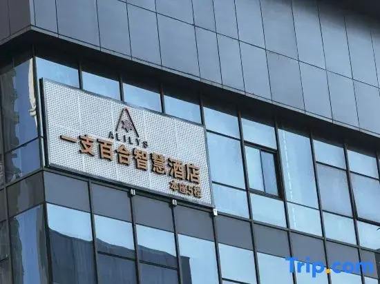 Lily Smart Hotel (Hefei Binhu Zhuyuan Subway Station)