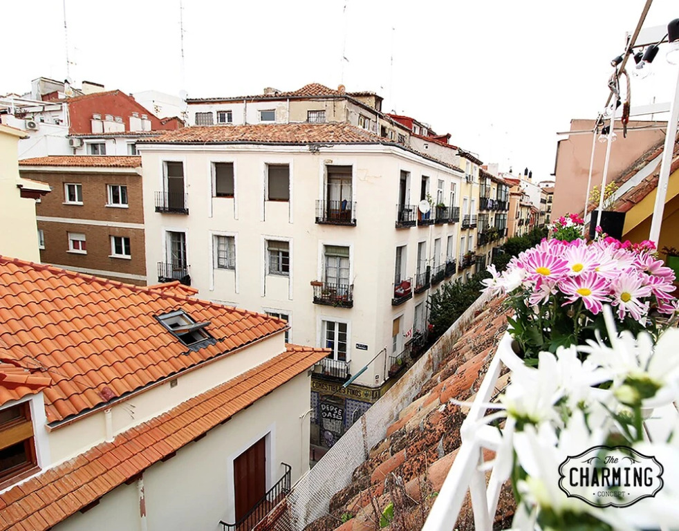 Charming Oasis in the Centre of Madrid