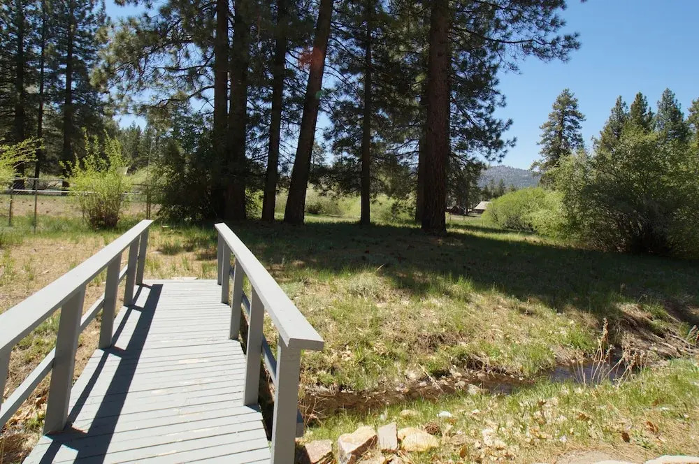 Jaybird Lodge