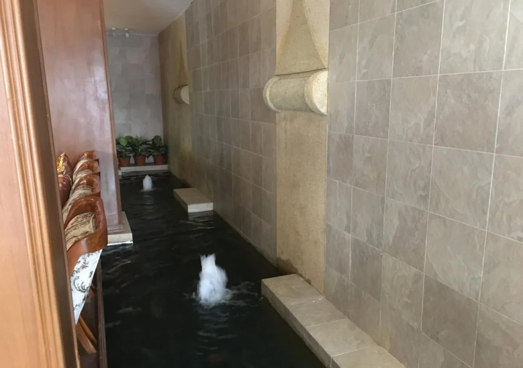 Lotus Hotel Patong