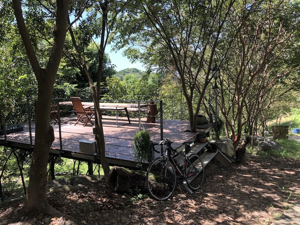 Between Trees BnB
