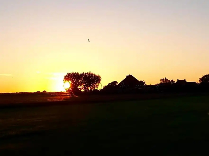 B&B Beemsterblik