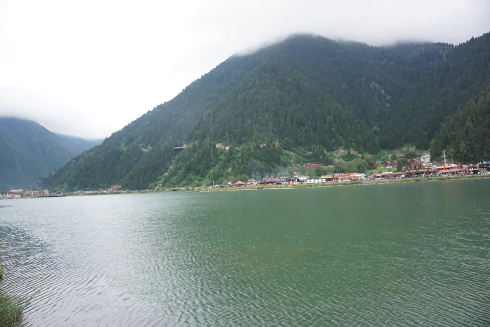Uzungol Holiday Hotel 2