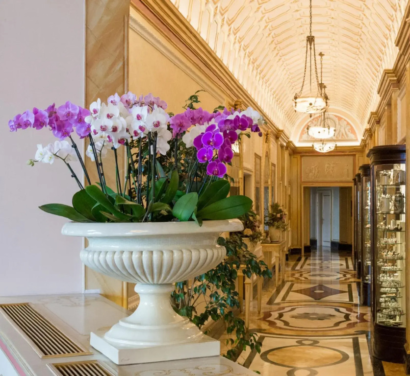 Hotel Regina Palace
