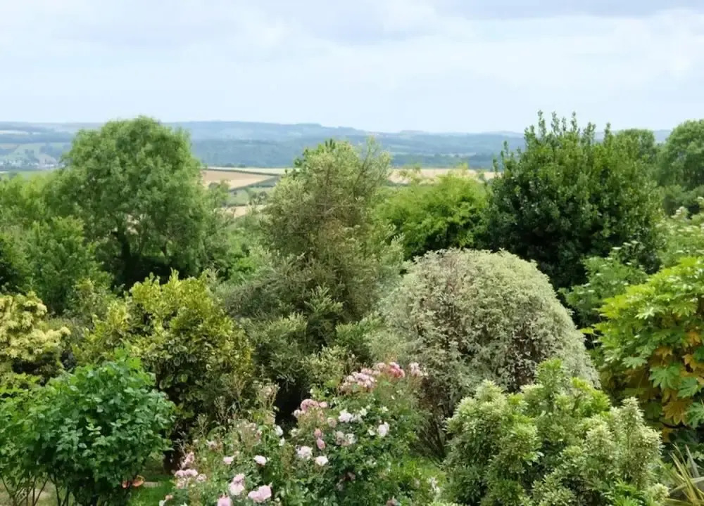Cottage Near Dartmoor With Hot Tub