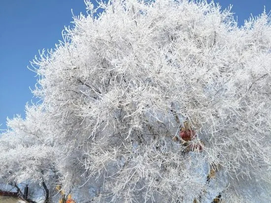 Jiangbian Renjia Sheying Jidi Inn