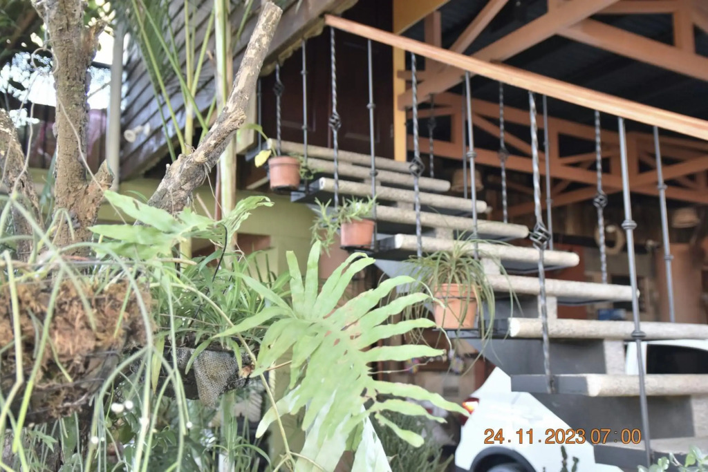 Casa Córa