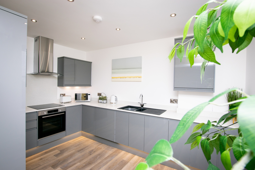 Your Apartment | Bristol Rowan Tree - No.5