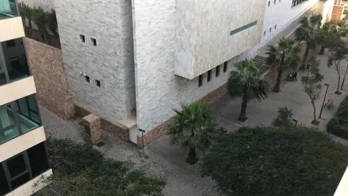 Venegas