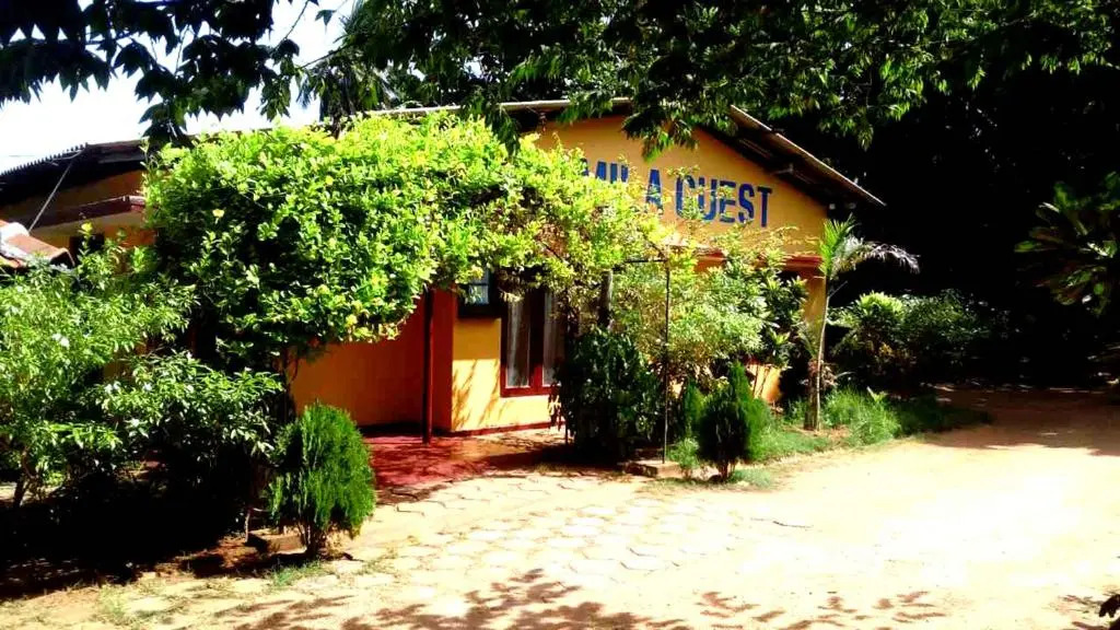 Amila Guest