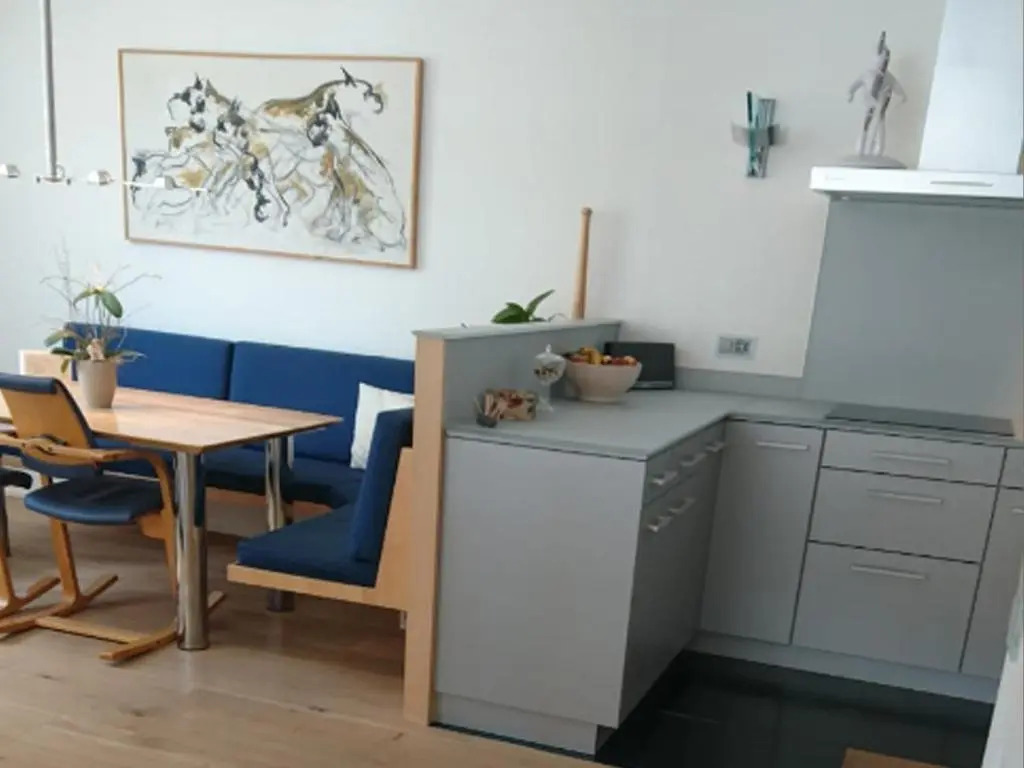 Chesa Anemona - 4,5 room appartment in a lovely relaxing atmosphere