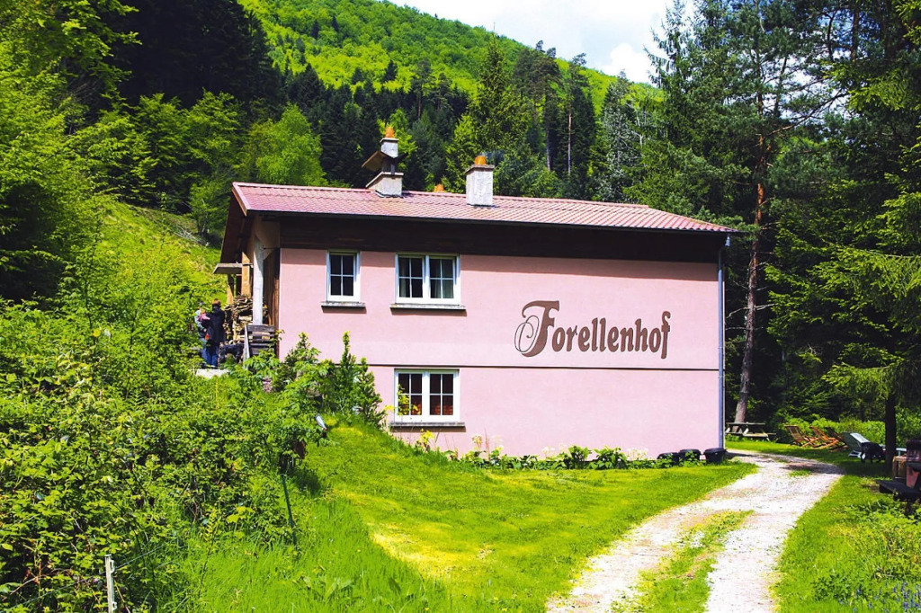 Apartment in Alsace With Private Terrace