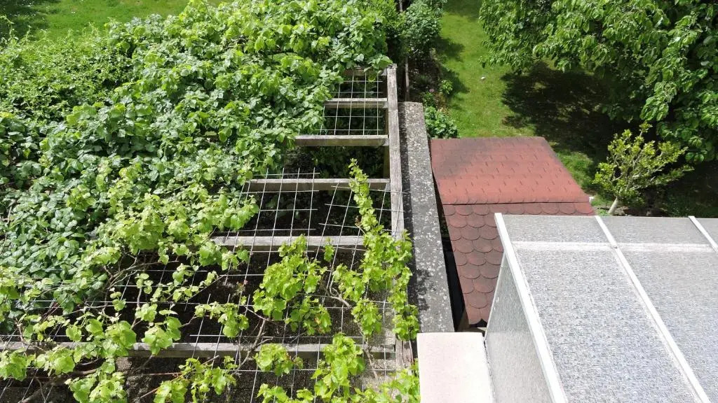 Ferienwohnung Am Homburg Nr 1