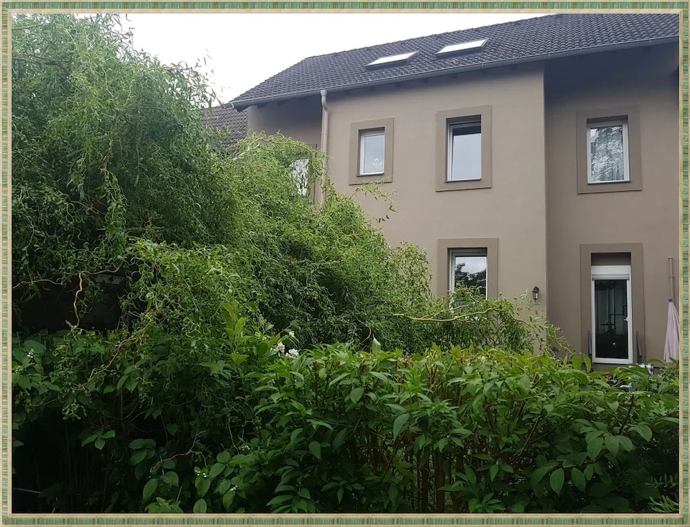 Kolev Apartments