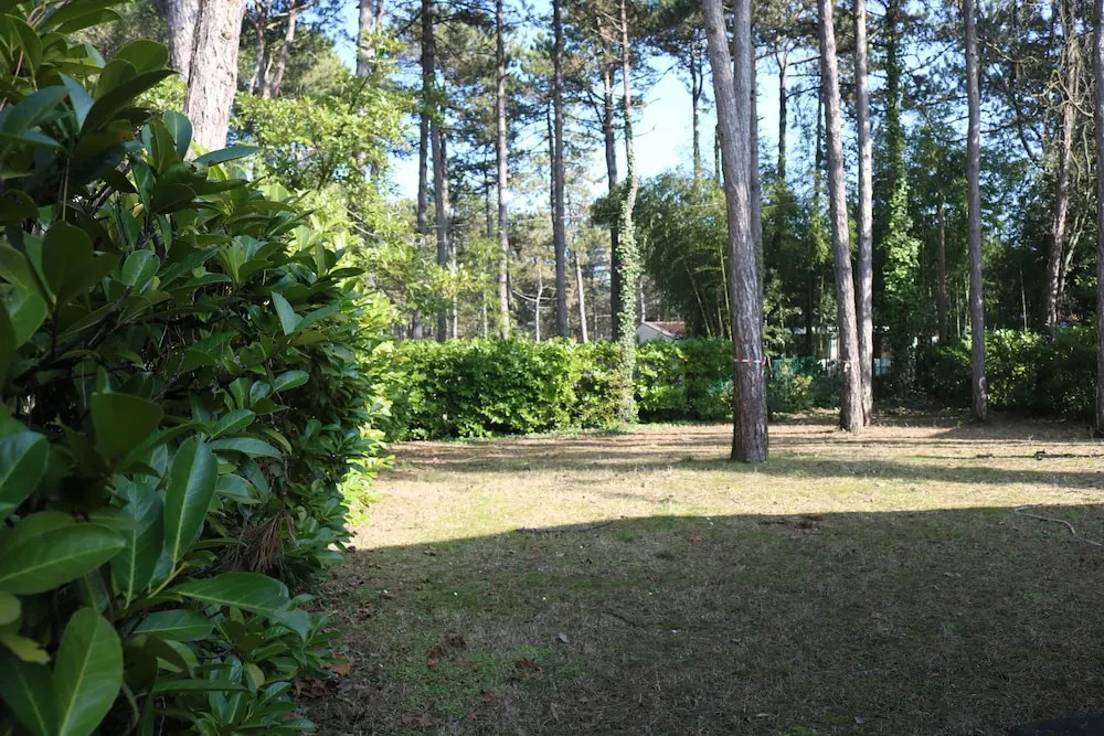 Villa with an amazing garden