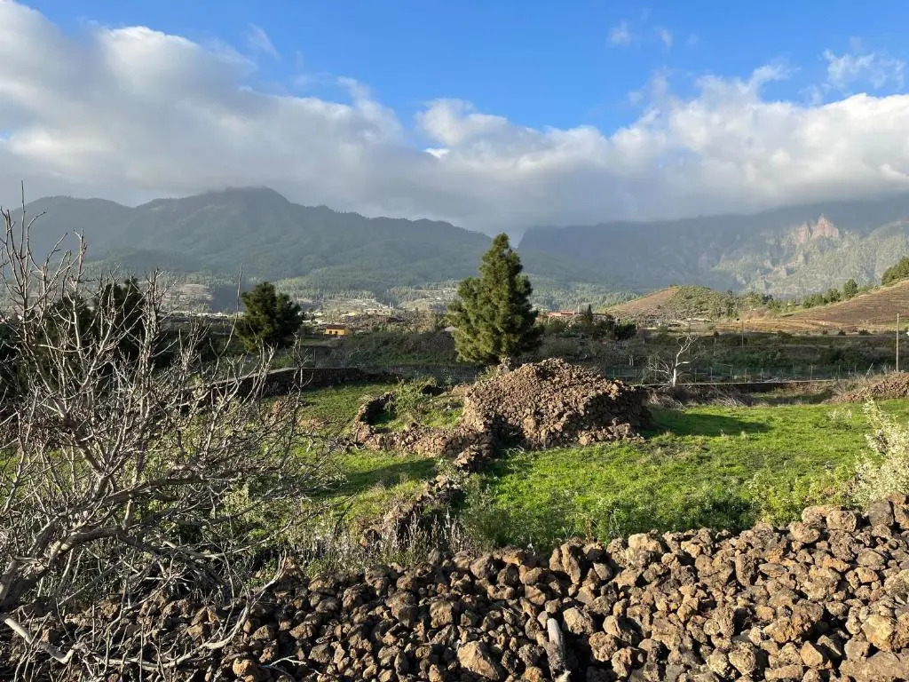 El Oasis
