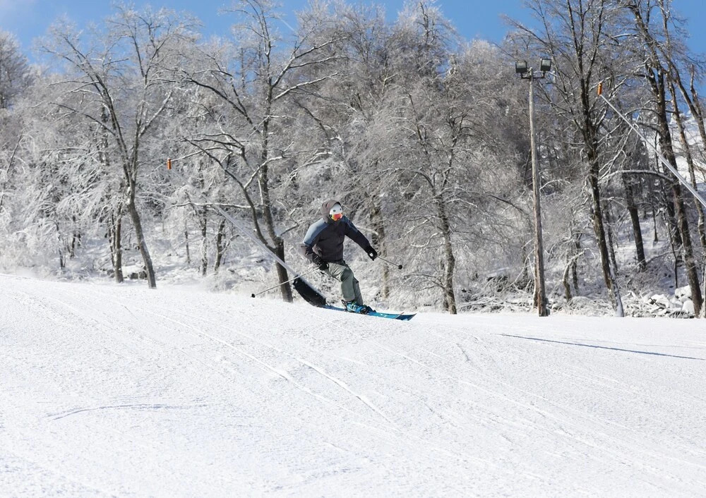 Seven Springs 1 Bedroom Premium Condo, Walking Distance to Slopes by RedAwning