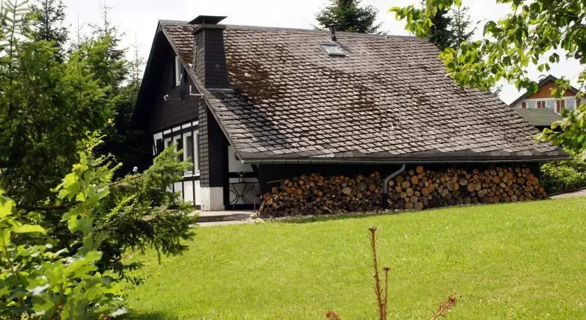 Winterberg Chalet 21069