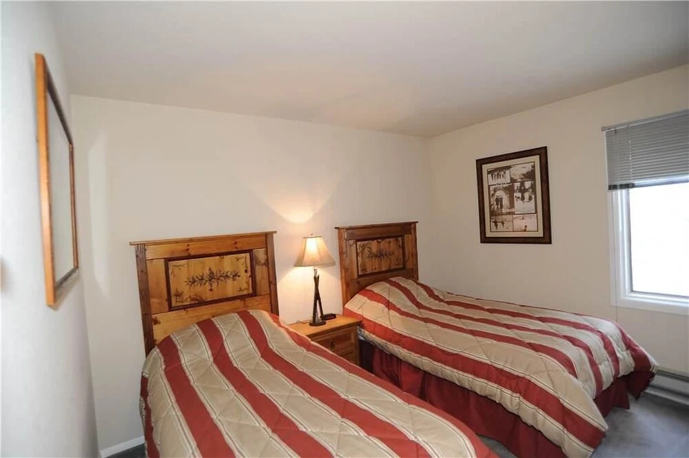 Asgard Haus 703 (Condo) Apartment 2