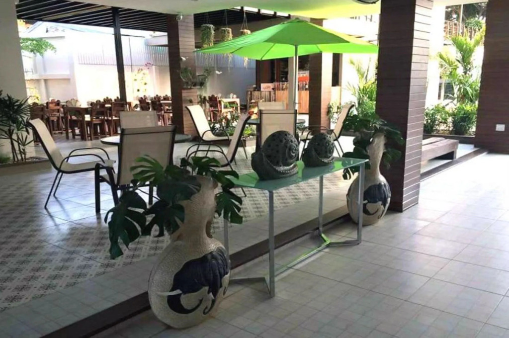 Dino Studio