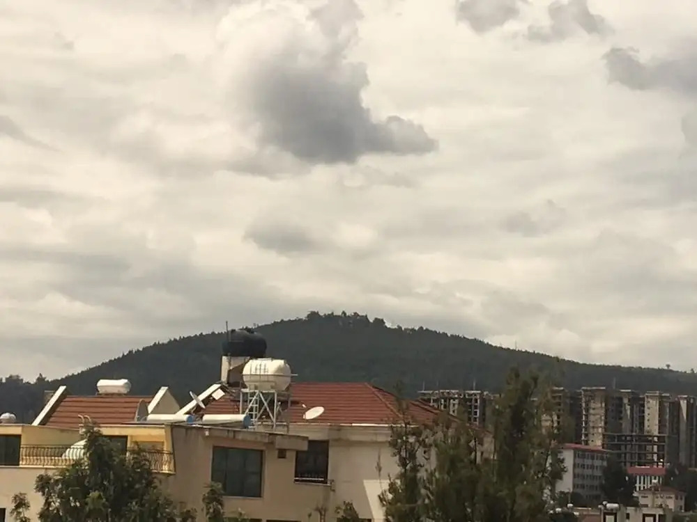 Tiams Guest House