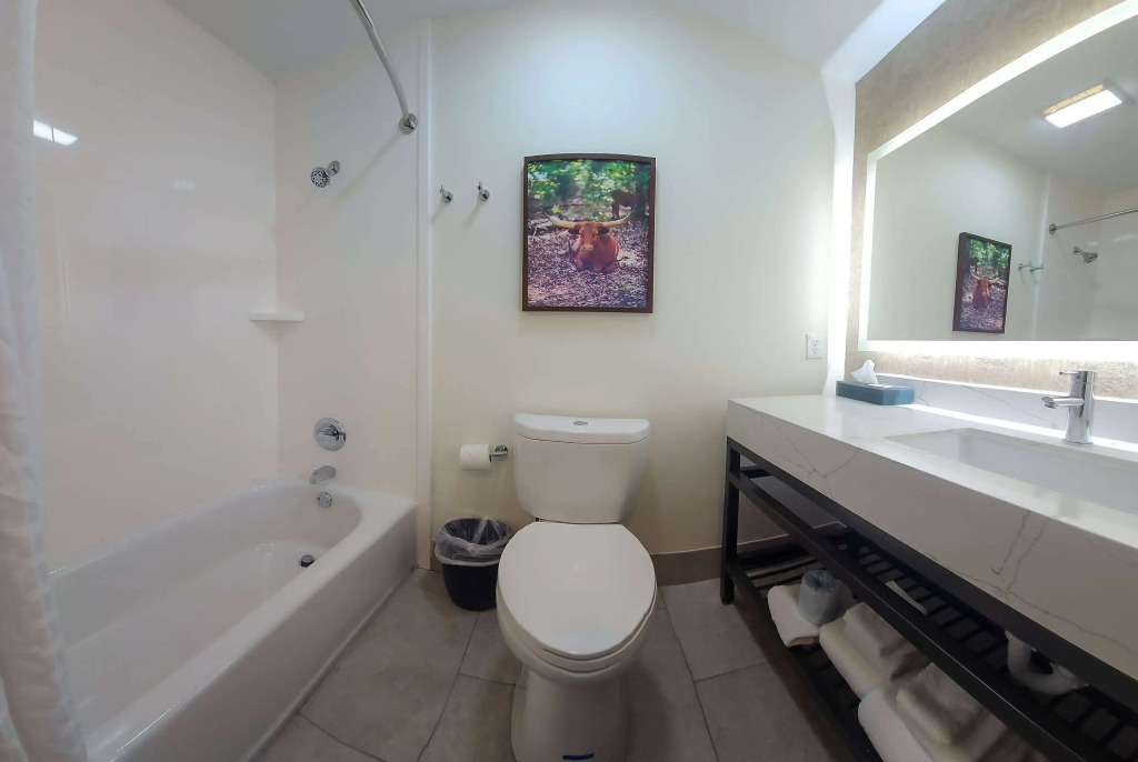 La Quinta by Wyndham Dallas Mesquite