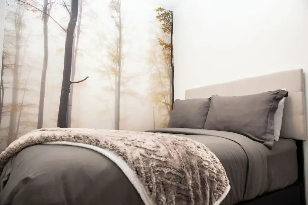 Mountain Revelation Revelstoke Vacations