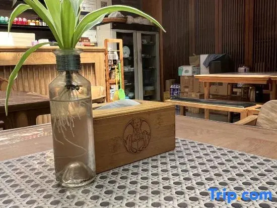 Songshanju Boutique Hostel