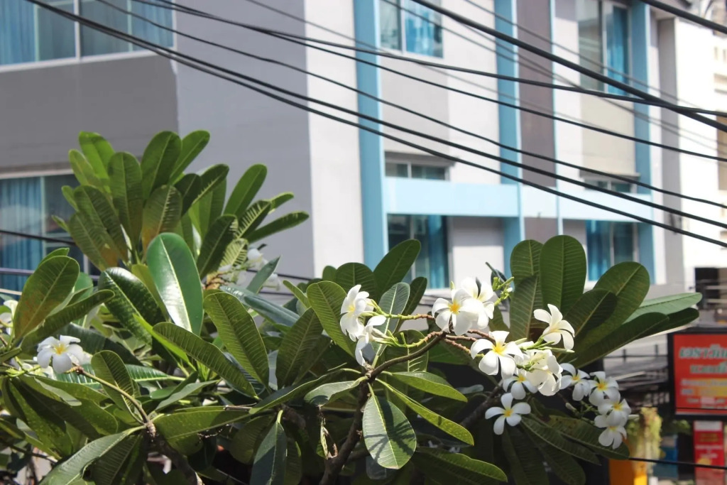 Nature Boutique Hotel @ Chiangmai