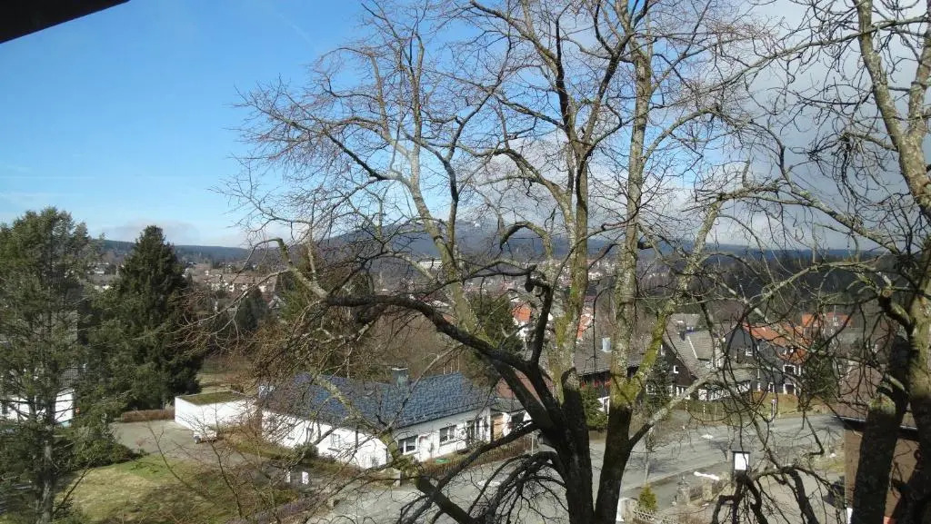 Bergziege