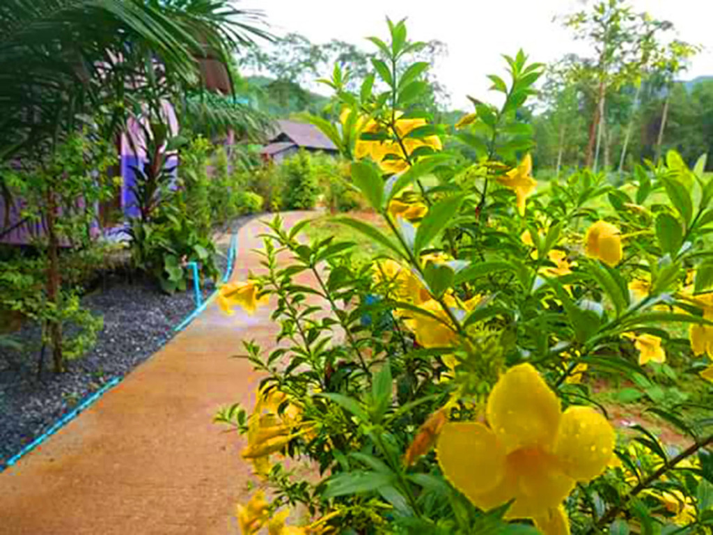 Bangnu River Resort