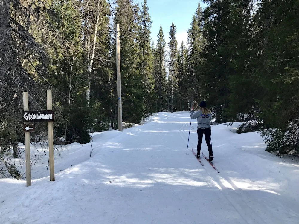 Grönländaren