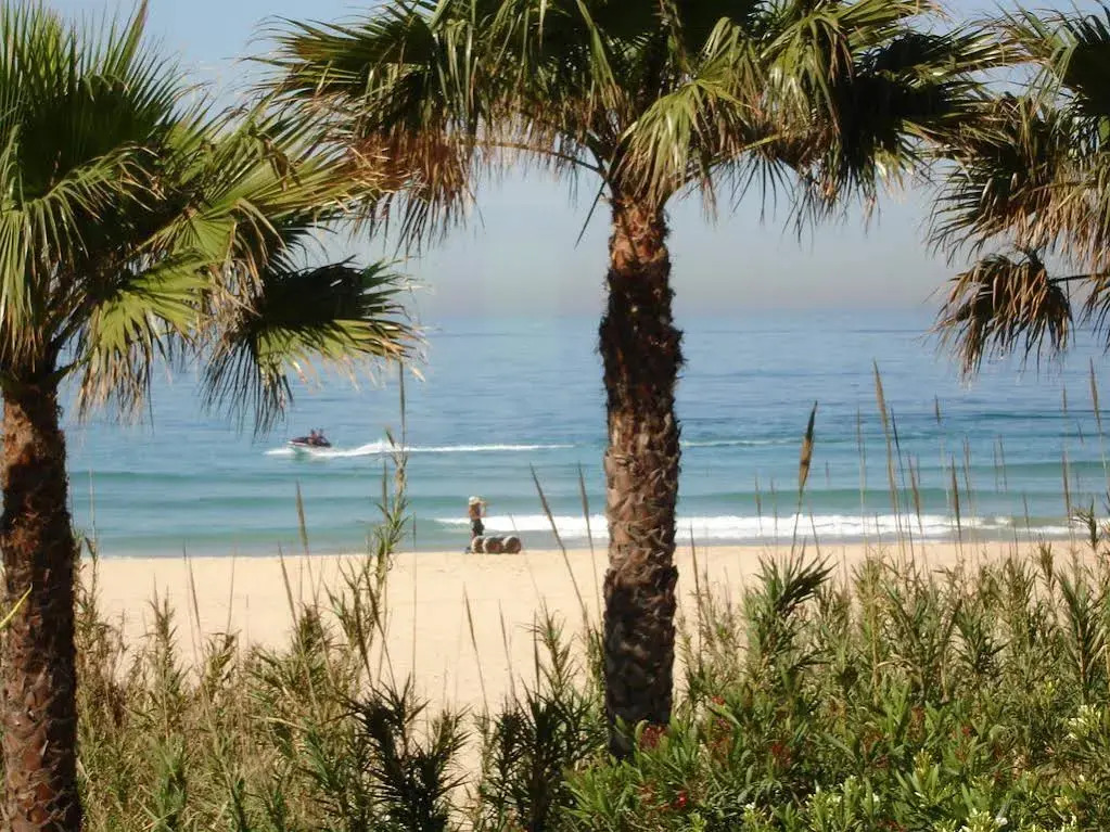 Beach Hotel Dos Mares