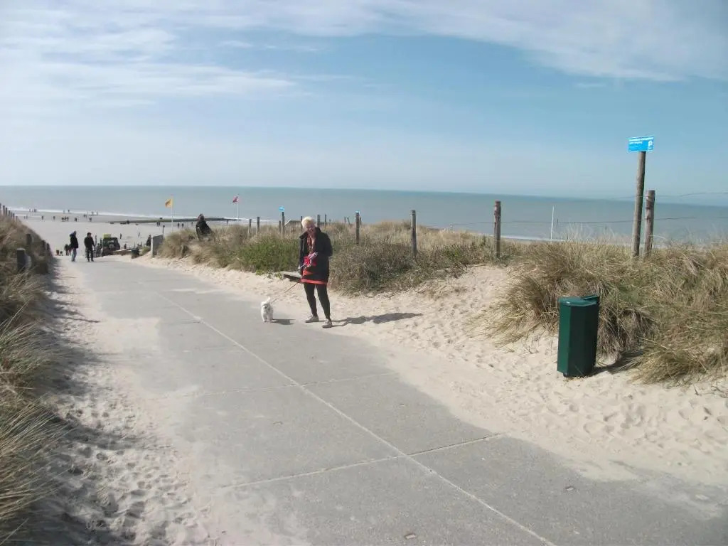 Studio in Callantsoog by Dunes and Sea