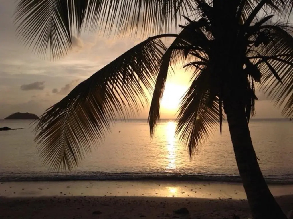 Villas Paradis Anse Figuier