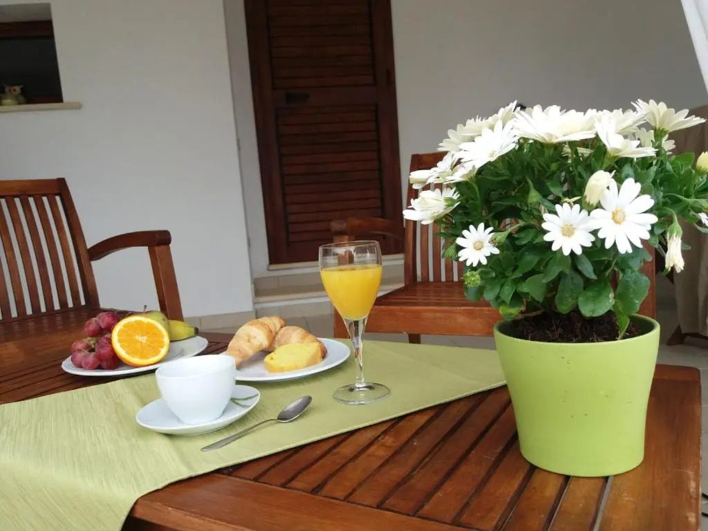B&B Briosa