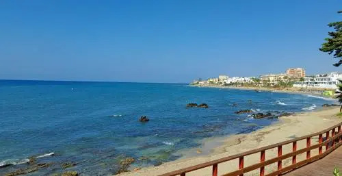 Flores Del Mar
