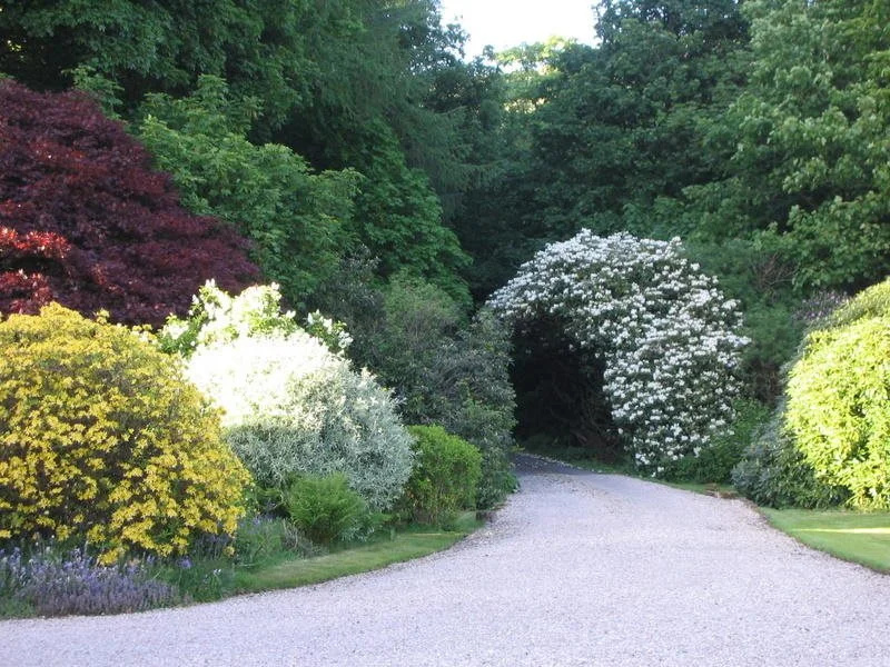 Finglen House