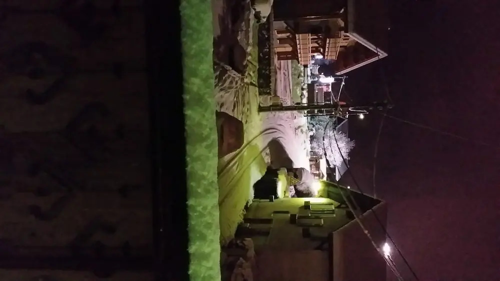 Hôtel Les Fleurs
