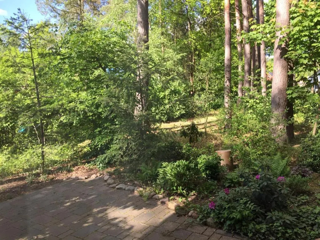 Wald und Wohlsein