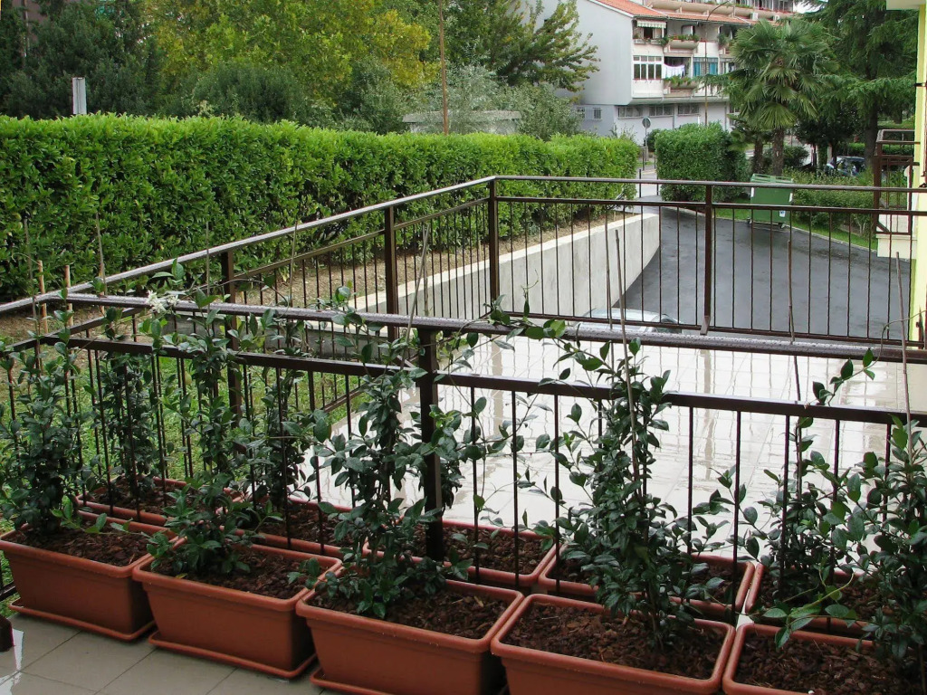 Hotel Keltika