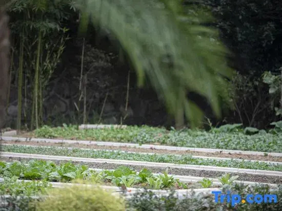 Yinruchenyan Single Building Cabin Homestay