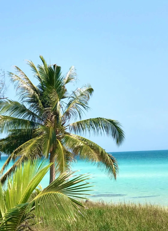 Anaya Koh Rong