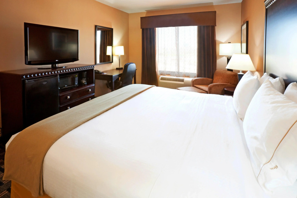 Comfort Inn & Suites Dallas Medical-Market Center