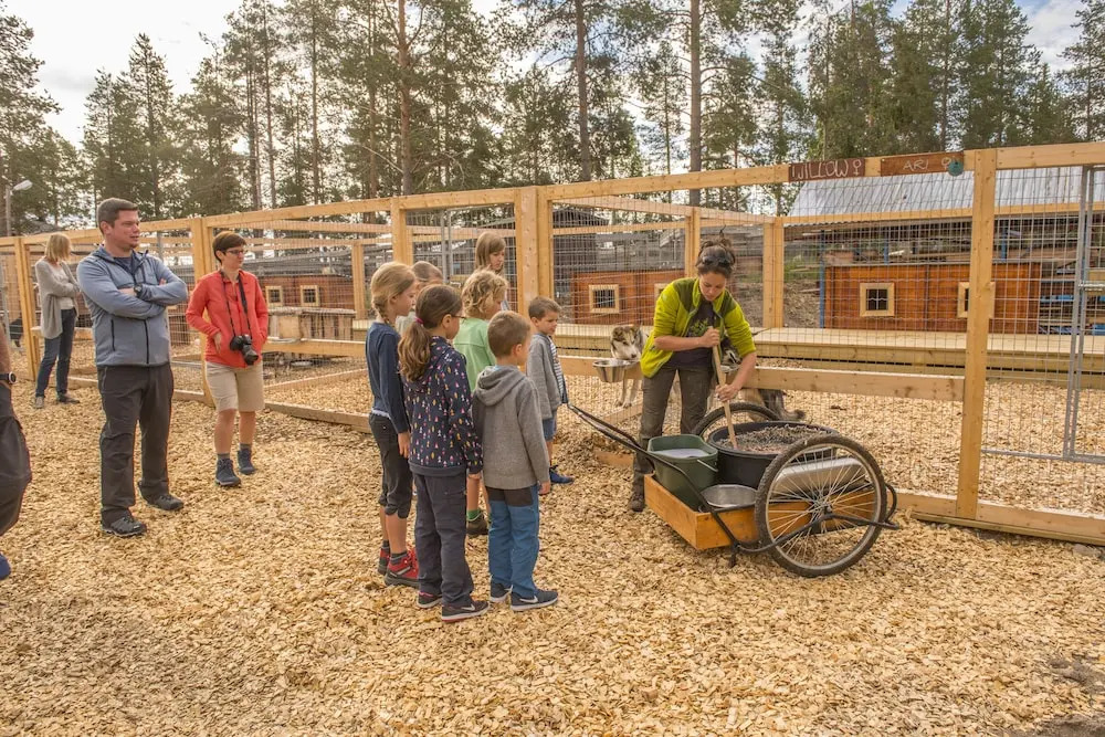Pinetree Lodge