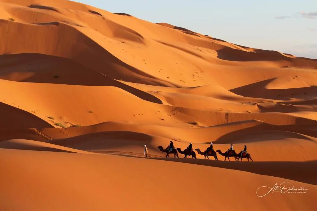 Merzouga Desert camp