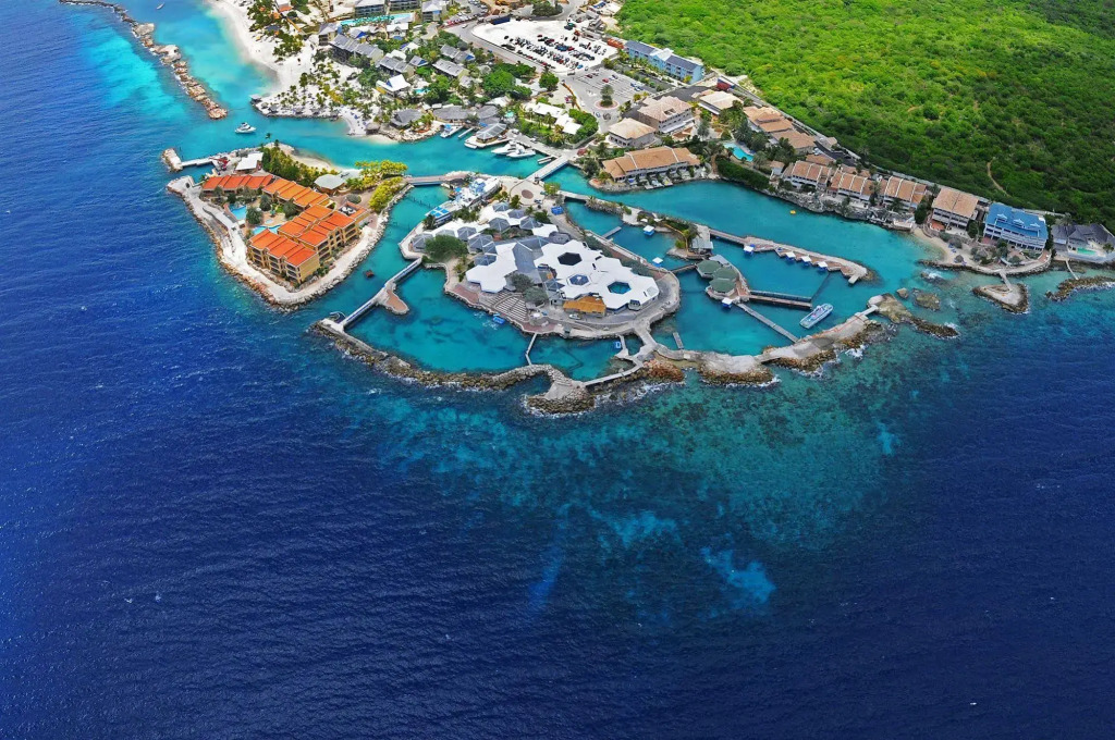Dolphin Suites