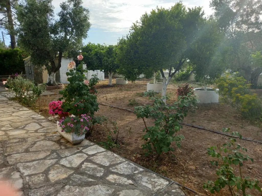 Lemon Garden